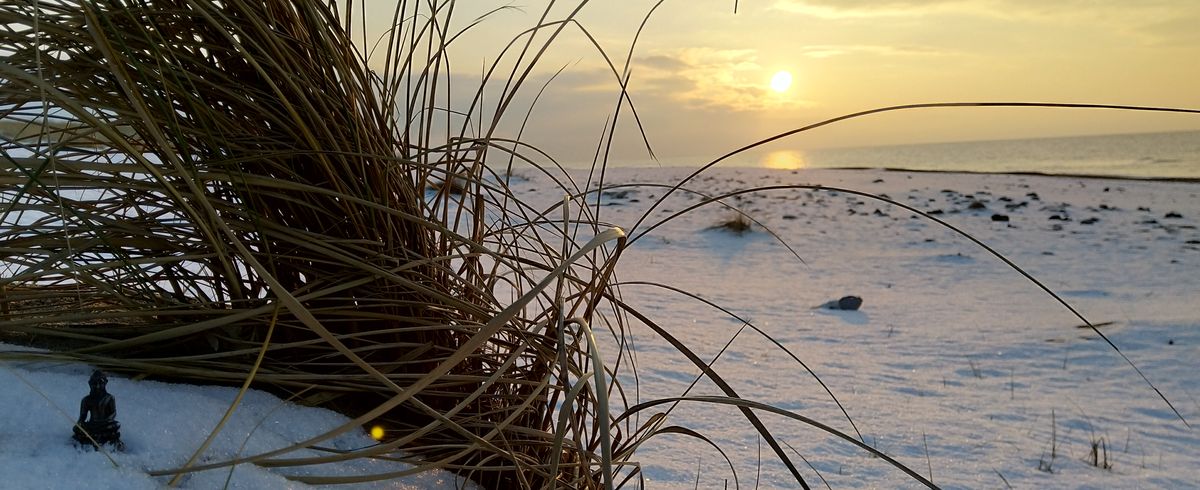 Buddha am Strand im Winter
